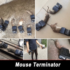 Highly Sensitive and Powerful Mouse Trap.